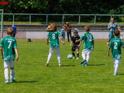 Hillen Cup 2024